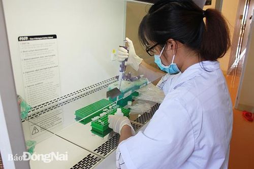 Đồng Nai được xét nghiệm dịch tả heo châu Phi