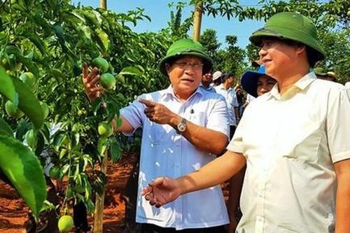 Ông Võ Văn Hưng được bầu làm Chủ tịch UBND tỉnh Quảng Trị