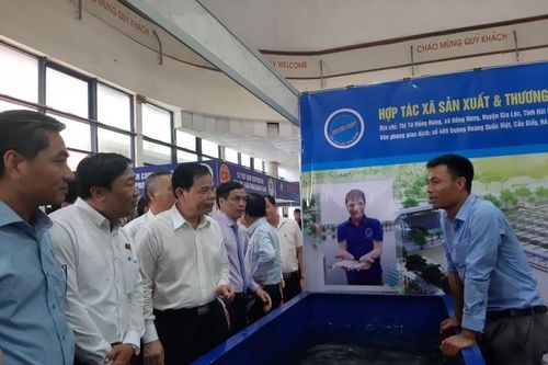 Đẩy mạnh tiêu thụ sản phẩm cá tra tại thị trường nội địa