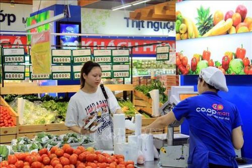 Bán lẻ nước ngoài gia tăng sức ép với bán lẻ trong nước