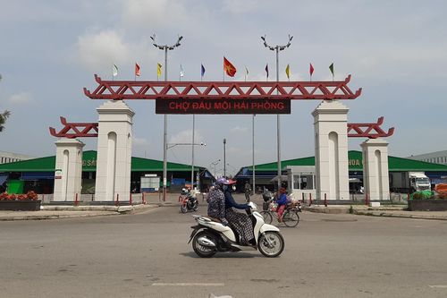 Hải Phòng kỷ luật khiển trách Ban Thường vụ Quận ủy Hồng Bàng