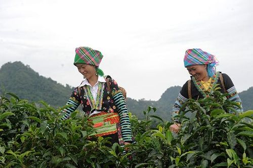 Ðổi mới ở vùng cao Mù Cang Chải