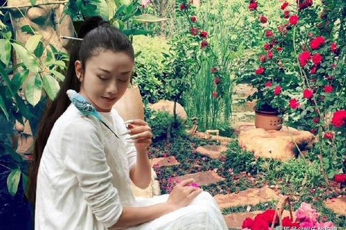 3 'mỹ nhân không tuổi' chứng minh cuộc sống không có con vẫn hạnh phúc viên mãn