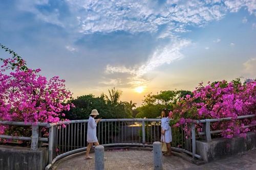 Cách chụp ảnh sống ảo với cây cầu 'Hoa giấy' Bắc Hưng Hải mà không vi phạm giao thông