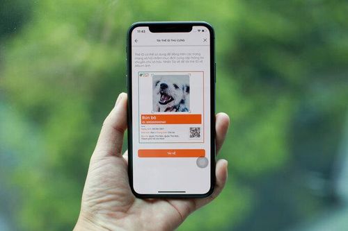Petsport: Ứng dụng quản lý thú cưng bằng…'chứng minh thư'