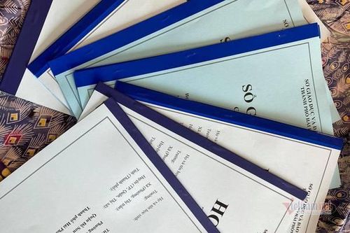 Hải Phòng sẽ 'xóa sổ' học bạ giấy