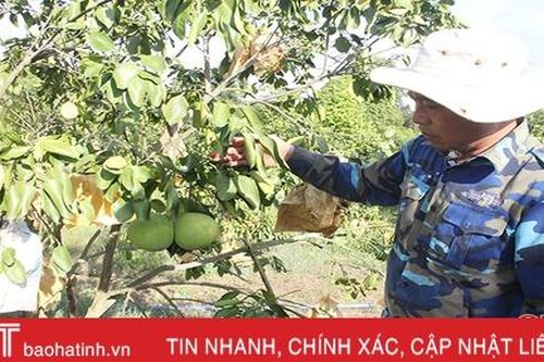 Hà Tĩnh nắng nóng kéo dài nhưng nền nhiệt vẫn thấp hơn Nghệ An, Thanh Hóa