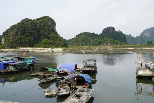Quảng Ninh tăng cường công tác bảo vệ nguồn lợi thủy sản