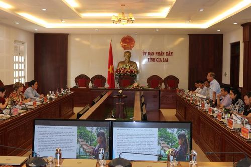 Phó Chủ tịch UBND tỉnh Gia Lai Nguyễn Đức Hoàng làm việc với đại diện UNICEF