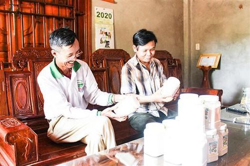 Khuyến khích hợp tác xã tham gia chương trình OCOP