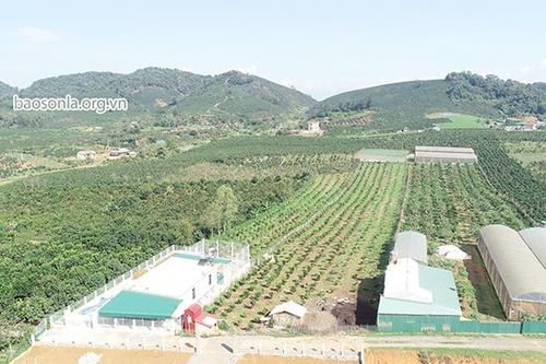 Hành trình thay đổi nhận thức về sử dụng thuốc BVTV: Kỳ 2: Xây dựng nền nông nghiệp xanh, an toàn, bền vững