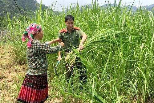 Đơn vị điển hình trong phong trào thi đua 'Vì An ninh Tổ quốc'