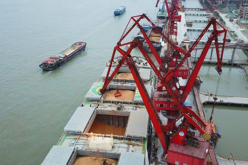 Giá đậu tương tiếp tục duy trì ở mức cao, Trung Quốc tăng cường mua vào cho dịp cuối năm