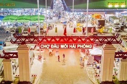 Sai phạm của Ban Thường vụ quận ủy Hồng Bàng gây hậu quả khó khắc phục