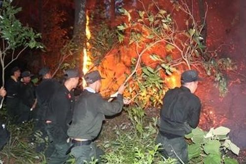 Trung đoàn Cảnh sát cơ động Đông Bắc chống 'giặc lửa', cứu rừng tại Quảng Ninh