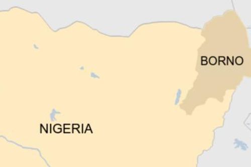 Phiến quân cực đoan tàn sát 59 người ở đông bắc Nigeria