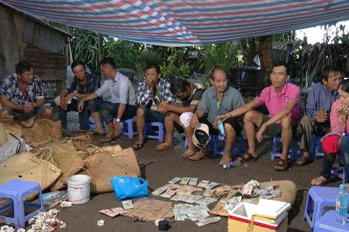 Triệt phá sòng bạc giữa cánh đồng ở Vĩnh Long