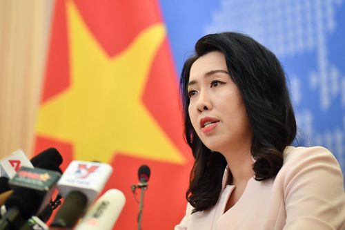 Bộ Ngoại giao lên tiếng việc Mỹ điều tra gỗ dán nhập từ Việt Nam