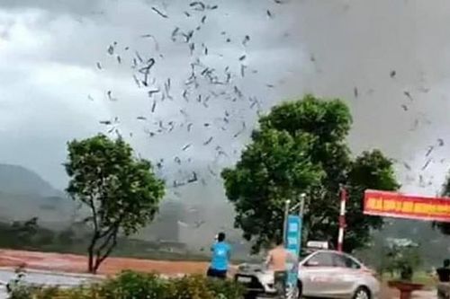 Mưa dông, lốc xoáy làm 3 người chết, hàng trăm căn nhà hư hỏng