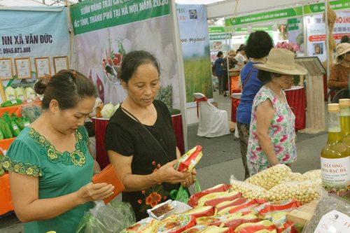 Khai mạc tuần hàng trái cây, nông sản các tỉnh, thành phố tại Hà Nội