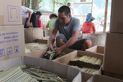 Hành động nhỏ, ý nghĩa lớn