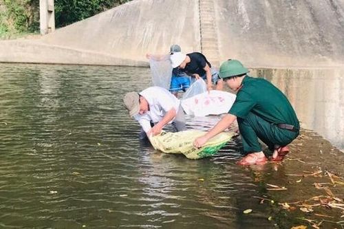Thả 10.000 cá giống tái tạo nguồn lợi thủy sản