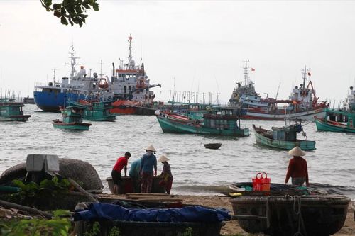 Việt Nam gỡ thẻ vàng hải sản: Khó khăn