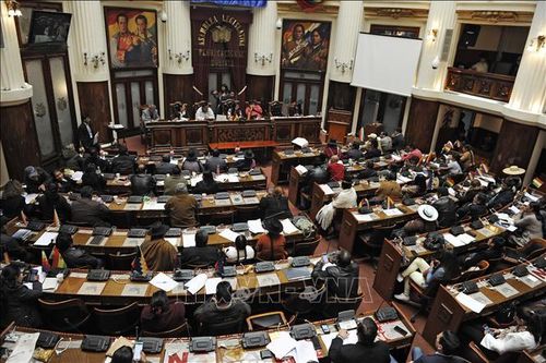 Quốc hội Bolivia thông qua thời gian tổng tuyển cử