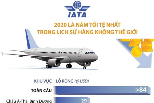 IATA: 2020 là năm tồi tệ nhất trong lịch sử hàng không thế giới