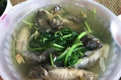 Vợ vụng ra tay nấu canh cá rô rau cải nguyên con, trắng ợt: 'Chồng mắng te tua, chị em cười bò'