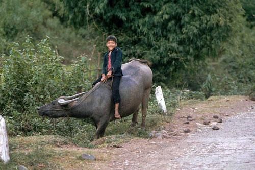 Vẻ bình yên hiếm có của Sơn La trong loạt ảnh màu những năm 1990