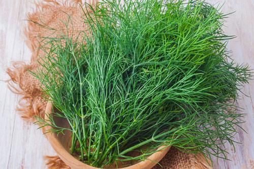 Không thường xuyên ăn rau gia vị này có thể bạn sẽ hối hận khi nghe công dụng của nó