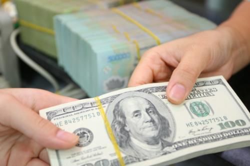 Giá USD hôm nay 11/6