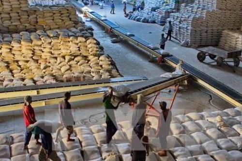 Việt Nam trúng thầu xuất khẩu 60 nghìn tấn gạo sang Philippines