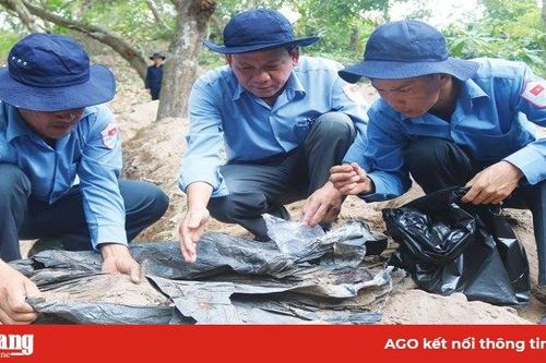 'Tôi vẫn tìm anh cho dù nơi đâu'