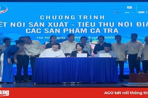 Đa dạng các sản phẩm từ cá tra tái xuất khẩu sau nCovid