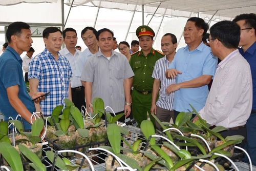 Khảo sát, thẩm định hồ sơ đề nghị công nhận thành phố Yên Bái hoàn thành nhiệm vụ xây dựng Nông thôn mới năm 2019