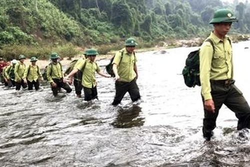 Tăng cường các biện pháp giữ rừng