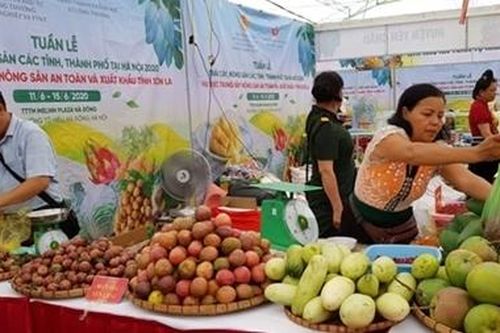 Khai mạc Tuần hàng trái cây, nông sản các tỉnh, thành phố