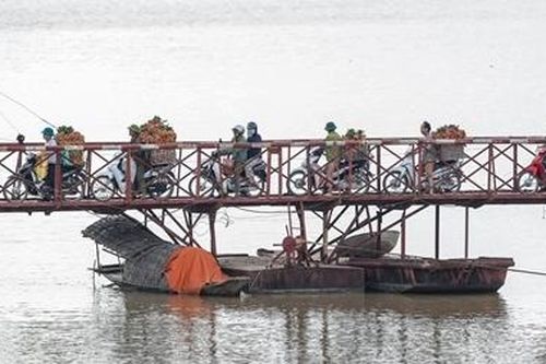 Vải thiều vào vụ, nông dân vượt cầu phao 'tử thần' đi bán vải