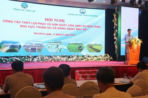 9 kịch bản chống úng ngập, bảo vệ lúa vụ mùa