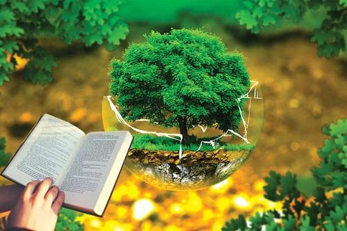 Tiếng nói về ứng xử của con người với tự nhiên