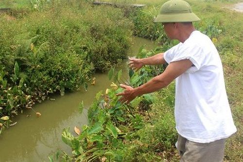 Tai nạn thương tâm ở Hải Dương: 3 học sinh gặp nạn trên đường mua sáo diều trong đêm