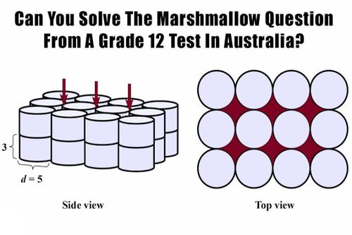 Bài toán lớp 12 ở Australia thách thức nhiều người