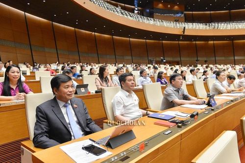 Đại biểu Quốc hội: Nhiều khi người dân chưa 'chung thủy' với doanh nghiệp