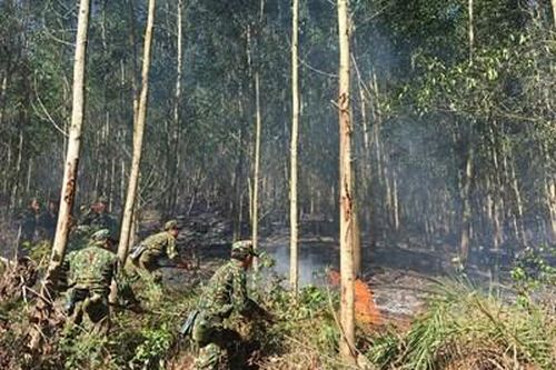 Kịp thời khống chế vụ cháy rừng
