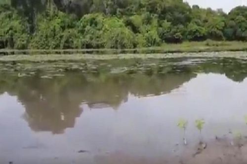 Mất kiểm soát, tài xế lao xe thẳng xuống...kênh