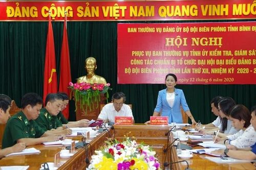 Kiểm tra công tác chuẩn bị Đại hội đại biểu Đảng bộ BĐBP Bình Định lần thứ XII