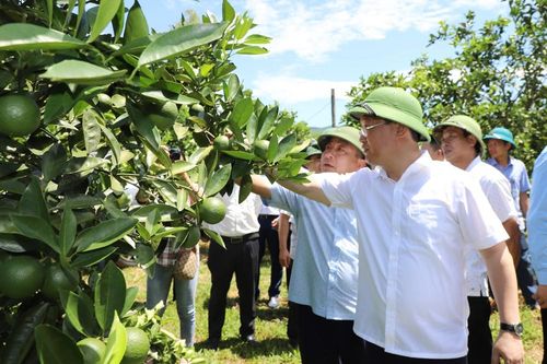Đưa du lịch, nông nghiệp trở thành mũi nhọn, thế mạnh phát triển kinh tế ở Quỳ Châu