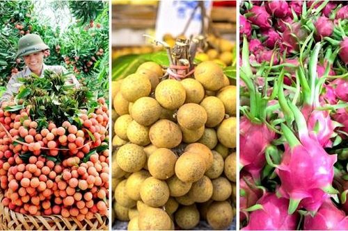 Kết nối doanh nghiệp nông sản, thực phẩm Việt Nam với đối tác tỉnh Sơn Đông (Trung Quốc)